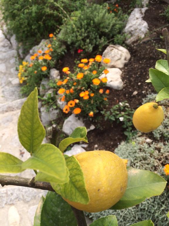 B&B Alla Bonacina Malnago Εξωτερικό φωτογραφία