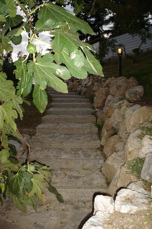 B&B Alla Bonacina Malnago Εξωτερικό φωτογραφία